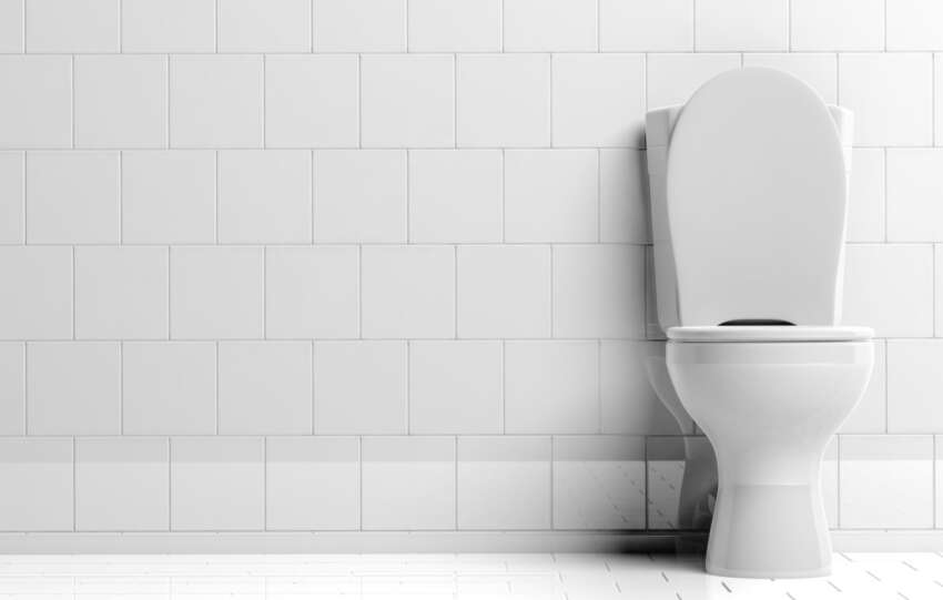 Potential and pitfalls of smart toilets by giuliomagnifico