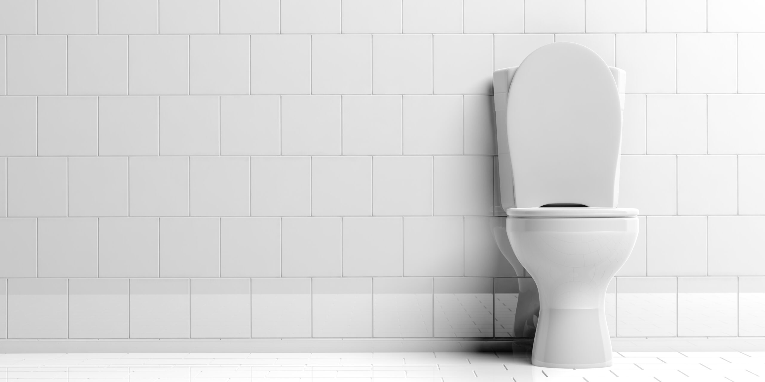 Potential and pitfalls of smart toilets by giuliomagnifico