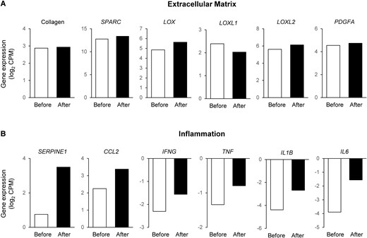 Metabolically Healthy Obesity is not a Myth by paulpauper